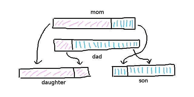 genome-nn